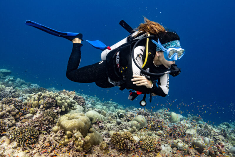 Centre de submarinisme Wagic a Andorra i Palamós